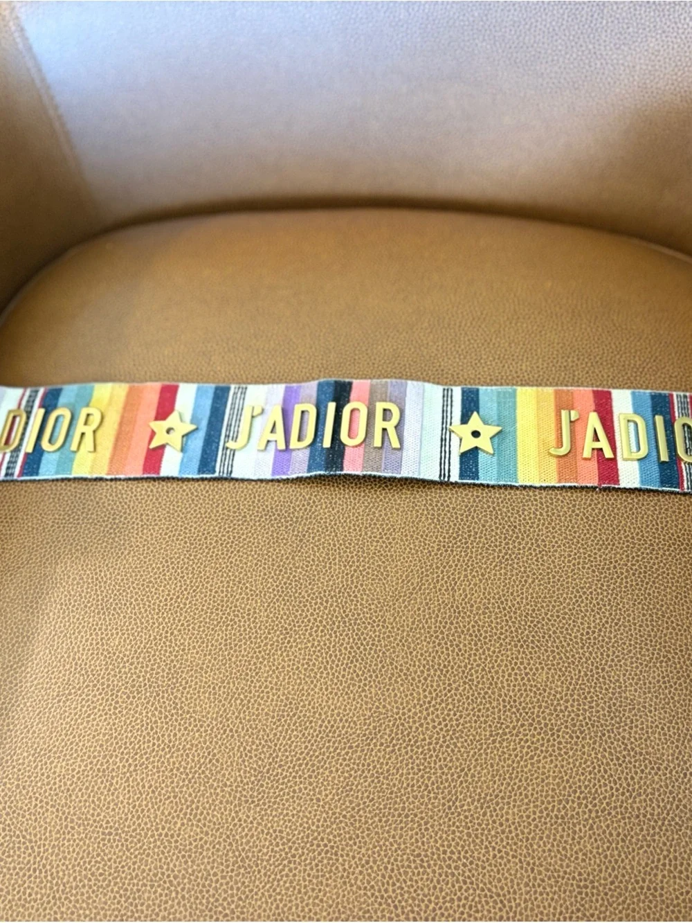 Dior Multicolor Strap with Gold Hardware and black leather